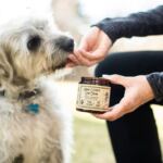 cbd dog treats