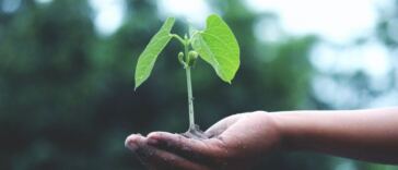 benefits of gardening