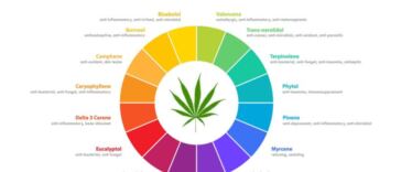 IMG SRC: CannaCon