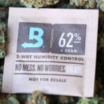 boveda pack