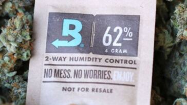 boveda pack