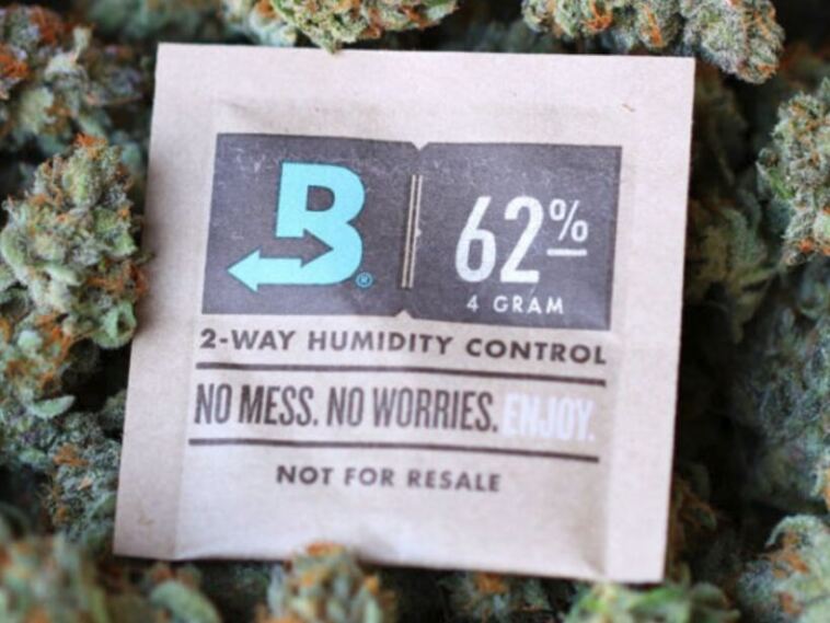 boveda pack