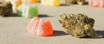 cannabis edibles