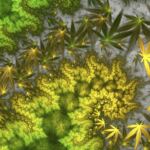 Best Cannabis Sativa Strains for Energy and Focus