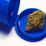 Craigslist Marijuana Jobs