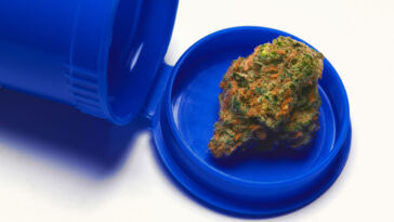 Craigslist Marijuana Jobs