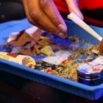 tips rolling a blunt