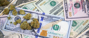 Six Figure Marijuana Jobs