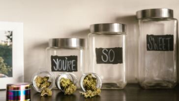 cannabis jars