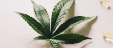 cbd