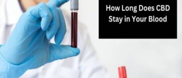how long does cbd stay in your blood
