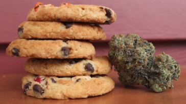 cannabis edibles for sleep