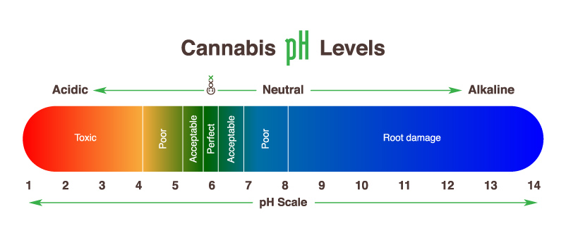 cannabis ph levels