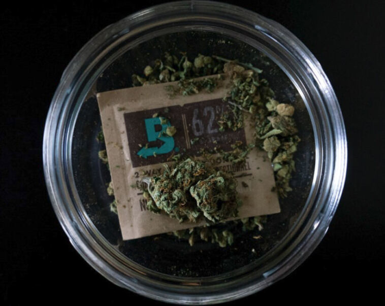 keep cannabis storage