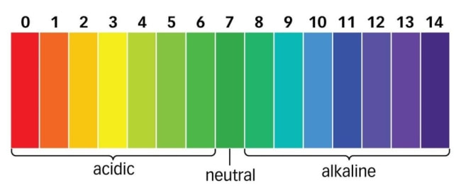 ph scale