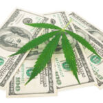 cannabis investing