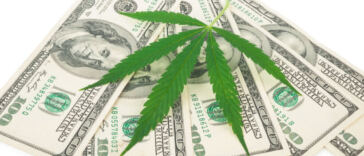 cannabis investing