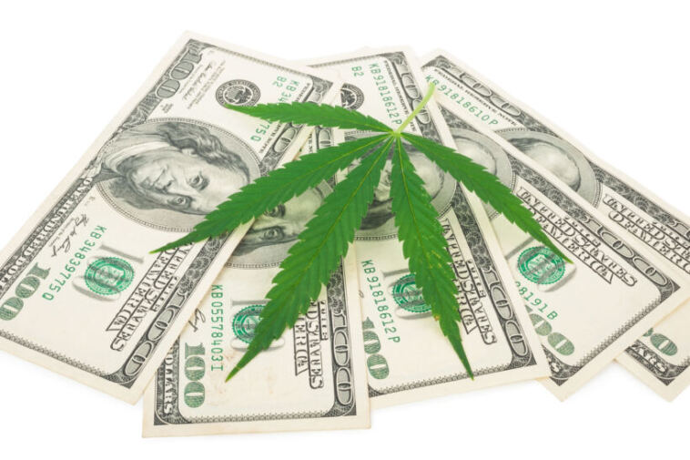 cannabis investing