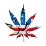 Aromatic Alchemy: Understanding Cannabis Terpenes