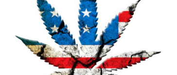 Aromatic Alchemy: Understanding Cannabis Terpenes