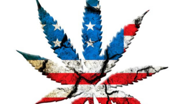 Aromatic Alchemy: Understanding Cannabis Terpenes