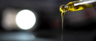 Steady Relief: CBD Patches on the Rise