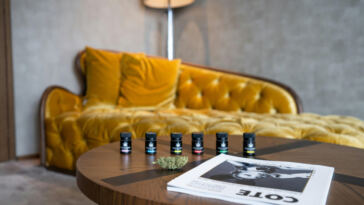 Cannabis Culture: The Art of Branding