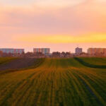 Cannabis Cultivation Comparison: Hydroponics vs. Soil