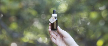 The Paw-sitive and Paws-ible Risks of CBD for Pets
