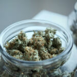 Exploring the World of Cannabis Tourism: Where It’s Legal