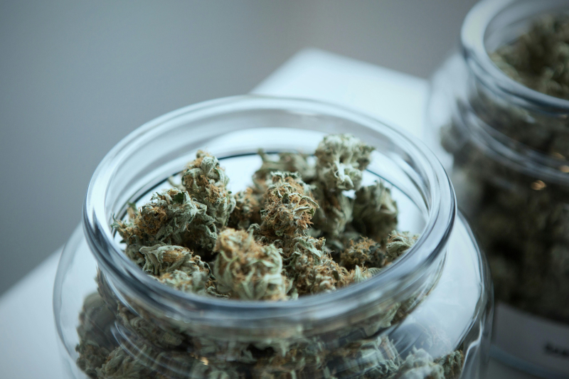 Exploring the World of Cannabis Tourism: Where It’s Legal