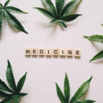 Harvesting High Yields: Strategies for Optimal Cannabis Cultivation