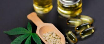 Unveiling the Flavorful Dance of Terpenes in Cannabis Edibles