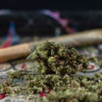 Cannabis Connoisseurs: Engaging in Interactive Tastings