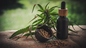 Mood Magic: CBD’s Power to Balance Emotions