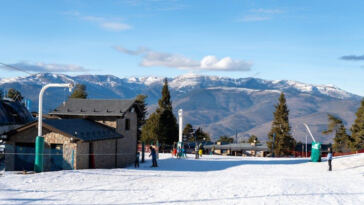 Greener Fields: The Impact of Cannabis in Sports