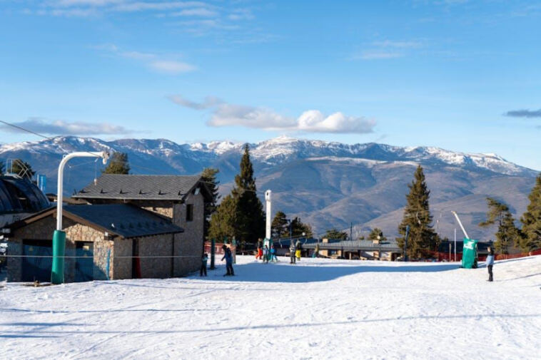 Greener Fields: The Impact of Cannabis in Sports