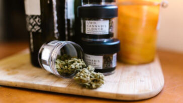 Green Relief: The Best Cannabis Strains for Post-Workout Recovery