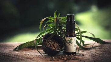 The Buzz on CBD: Can it Soothe Allergies?