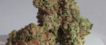 Can Marijuana Help Combat Depression? The Truth Revealed