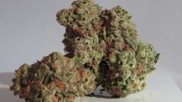 Can Marijuana Help Combat Depression? The Truth Revealed