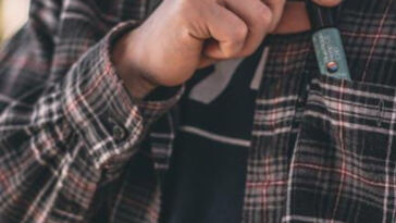 Unlock Your Brain’s Potential with CBD