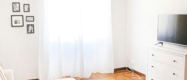 Creating Your Own Indoor Oasis: Setting Up a Cannabis Grow Room