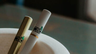 Unveiling the Latest CBD Trends: A Detailed Analysis