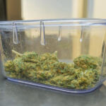 Terpene Titans: Ranking the Best Cannabis Strains