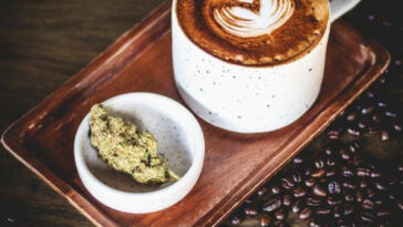 Highly Engaging: Cannabis Tastings and Pairings