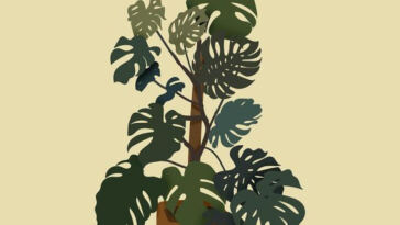 Mold-Free Greenery: Keeping Cannabis Plants Healthy