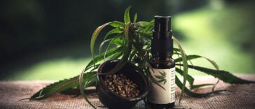 Unleashing Ultimate Relaxation: Full-Spectrum CBD for Deep Calm