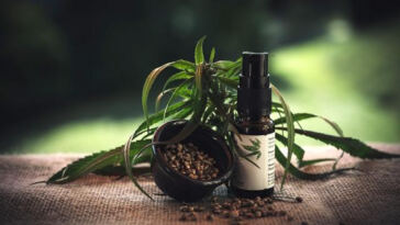 Unleashing Ultimate Relaxation: Full-Spectrum CBD for Deep Calm