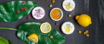 Blissful Strains: Unleashing Creative Juices